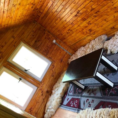 Bujtina Gashi Guest House Kukes Екстериор снимка