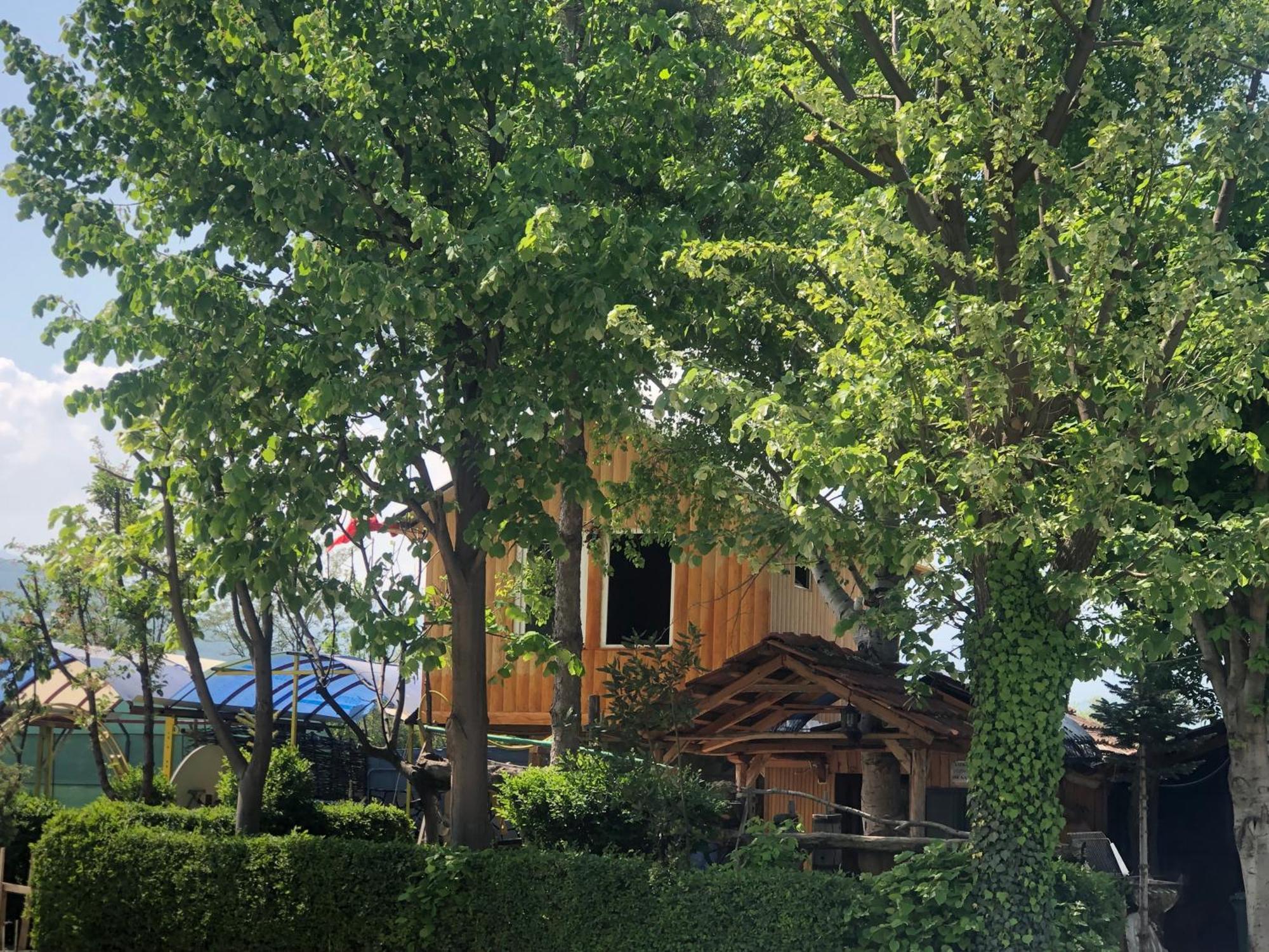 Bujtina Gashi Guest House Kukes Екстериор снимка