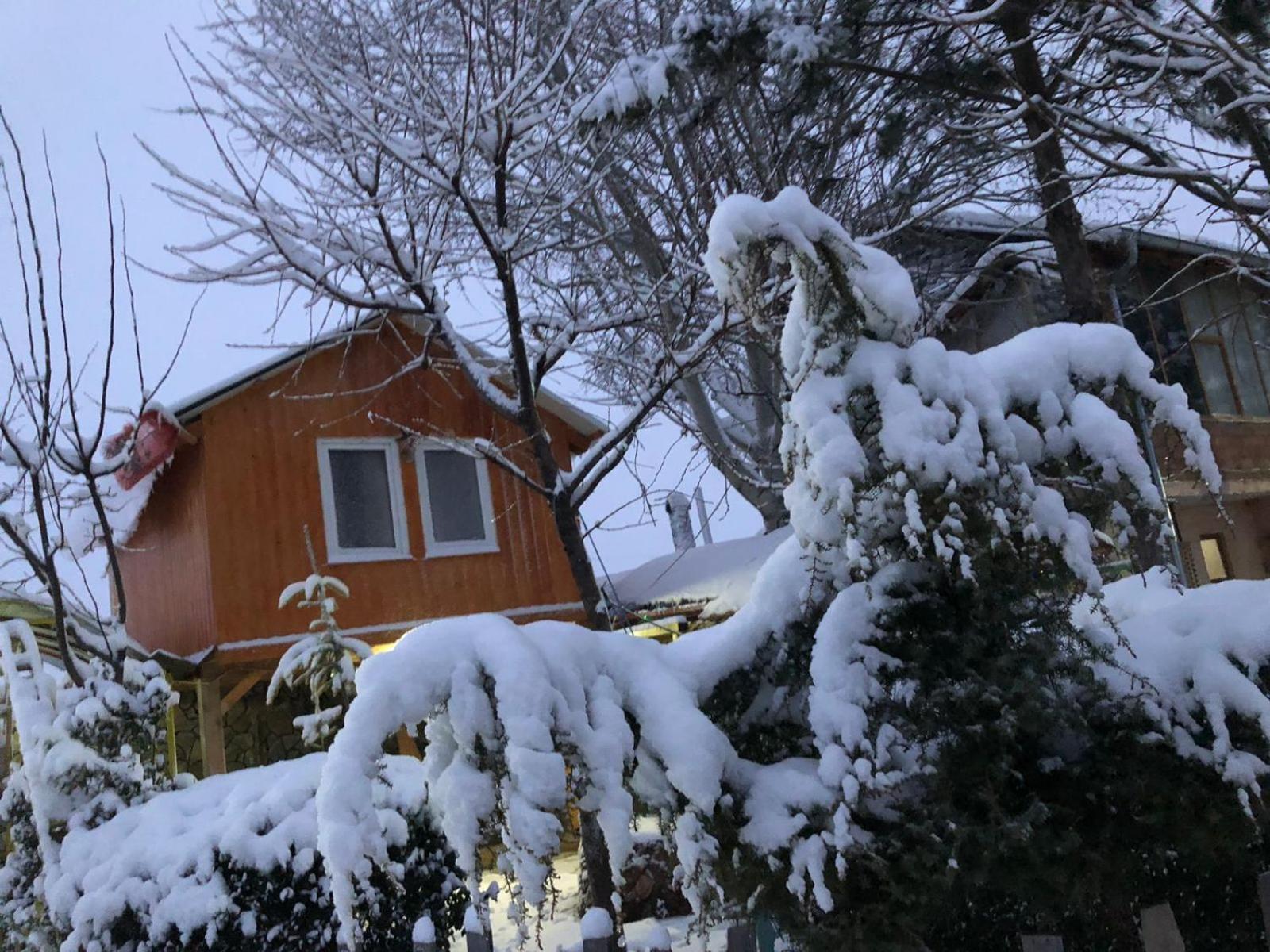 Bujtina Gashi Guest House Kukes Екстериор снимка